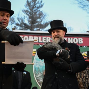 Punxsutawney Phil is said to have seen his shadow, forecasting 6 more weeks of wintry weather