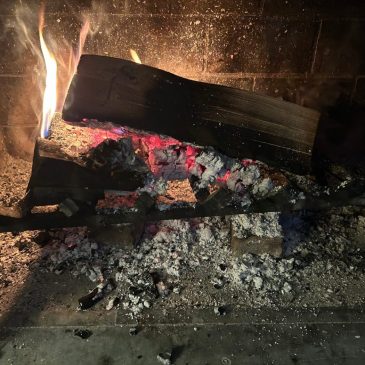 Record cold has fireplaces working overtime. Should those ashes be put to use in the garden?