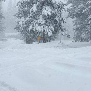 Crews search for backcountry skiers after avalanche reported in California mountains