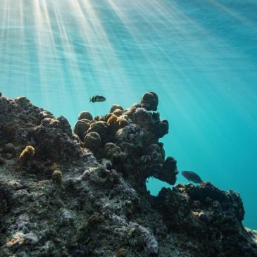 Trump administration urges nations to call for the withdrawal of a UN climate proposal