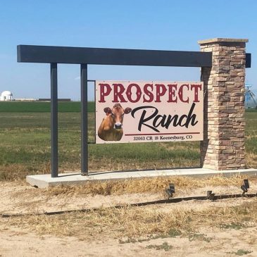 Government fines businesses over 6 deaths at Colorado dairy