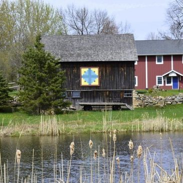 Scandia museum seeking stories about immigrants for US 250th