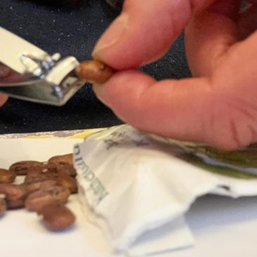 Scarification: The simple seed-starting trick that helps tough-coated seeds sprout faster