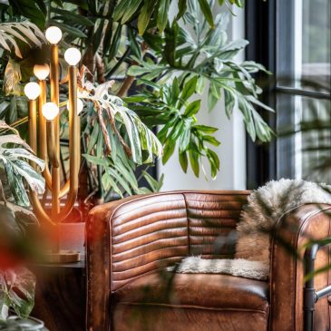 How to create a calming ‘nature nook’ with indoor plants. Advice from Hilton Carter