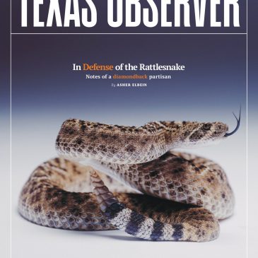 Editor’s Letter: Introducing Our March/April 2026 Issue