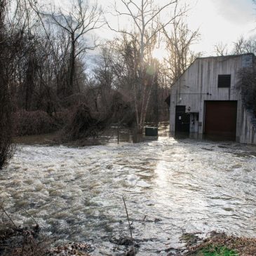 Massive Washington sewage leak will take weeks longer to fix, water company says