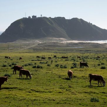 The world’s best honeymoon trips include this California paradise