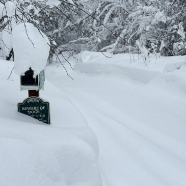 Guide company leading group caught in deadly avalanche warned of snow conditions days before incident