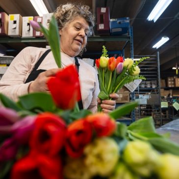 Follow a Valentine’s Day bouquet from Bachman’s to its tearful recipient
