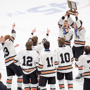 Here are all 16 Minnesota boys high school hockey section tournament brackets, updated with results