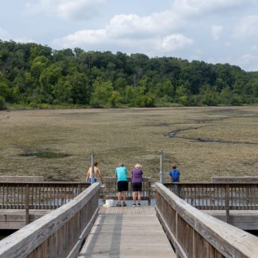 Work on Lake Alice, virtually empty since August dam failure, should be complete by fall 2027