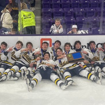 Boys hockey: Rosemount gets ‘over the hump,’ beats St. Thomas Academy in section final