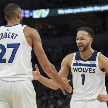 How the return of Kyle Anderson may be the antidote for what ails these Timberwolves