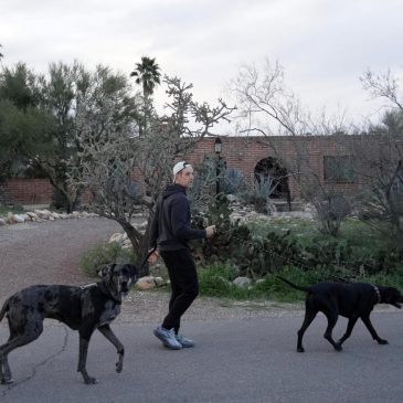 ‘We will pay,’ Savannah Guthrie says in desperate video plea to potential kidnappers of her mother