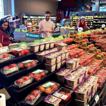 Governors tackle rising cost of living with relief checks, tax cuts and housing policy