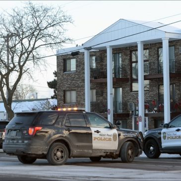 Man sentenced to 33 years for fatally stabbing St. Paul mother of six children