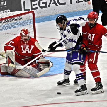 Wisconsin state hockey: Carter Meyer sparks semifinal upset, lifts Amery back into D2 title game