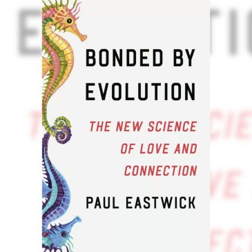 Think online dating is a ‘numbers game’? You’re playing it all wrong, says this researcher