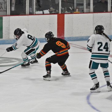 Girls hockey: St. Croix Valley runs out of time in state title game