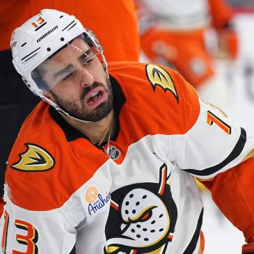 What are the Wild getting in new addition Robby Fabbri?