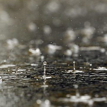 Quick-moving storm Friday will be followed by possible high of 60 on Monday