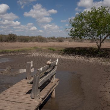 Corpus Christi Water Crisis Spurs Stampede on South Texas Aquifers