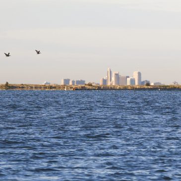 Last Year, a Corpus Christi Cryptomine Guzzled over 11 Million Gallons. Now, Its Water Usage Is Being Kept Secret.
