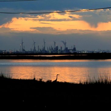 How Texas Could End Up Paying Billions to an Israeli Company for Water